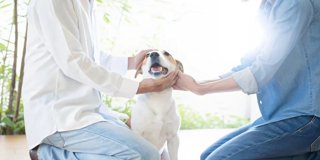 What to Do If Your Dog Is Choking: First Aid Guide
